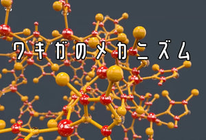 なぜワキガは発生する？仕組みと体臭との関係を解説